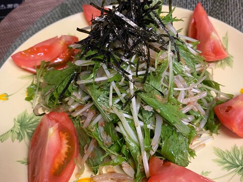 お手軽さっぱり❣️水菜ともやしのあみちりめんサラダ